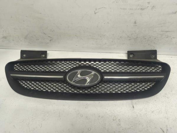 CALANDRE HYUNDAI - Vue 1